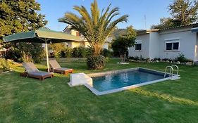 Rafaelo Poolside